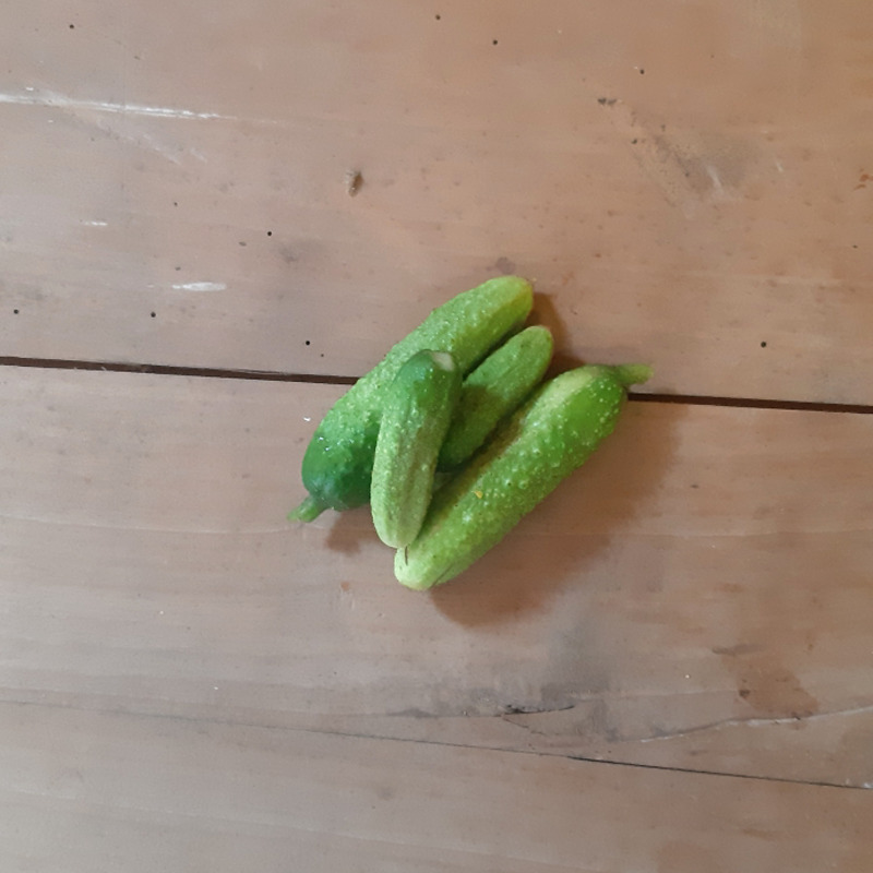 Cornichon ⚖