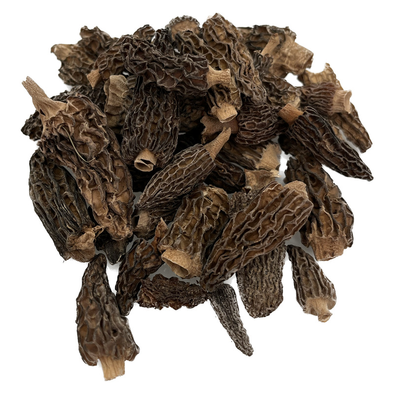 Dried wild Macedonia tailless morel 300g