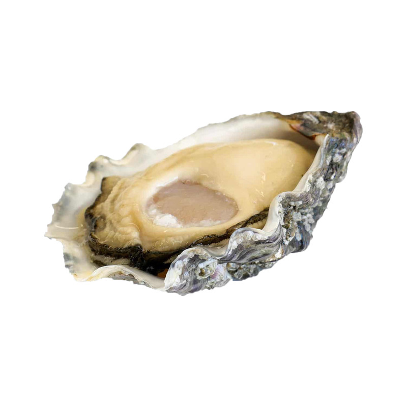 L'Étoile super special oyster (Brittany) N°3 x24