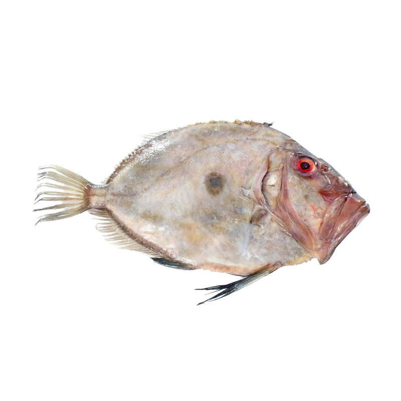 Saint-Pierre français 300-500g