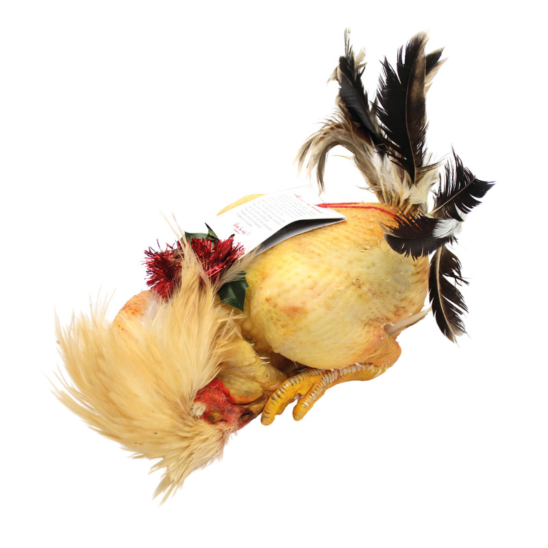Mini chapon du Gers ±2,8kg