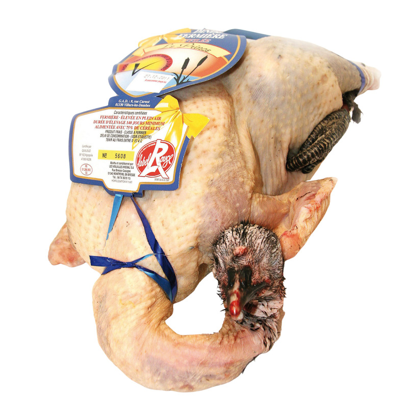 Dinde fermière de la Dombes Le Prince Label Rouge ±3,5kg