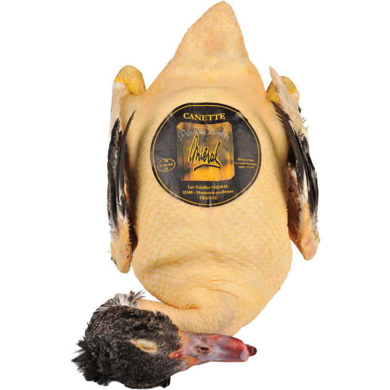 Prince de Dombes Barbary duckling ±2.2kg