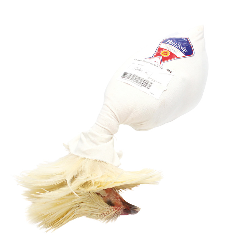 Chapon de Bresse roulé AOP ±4kg