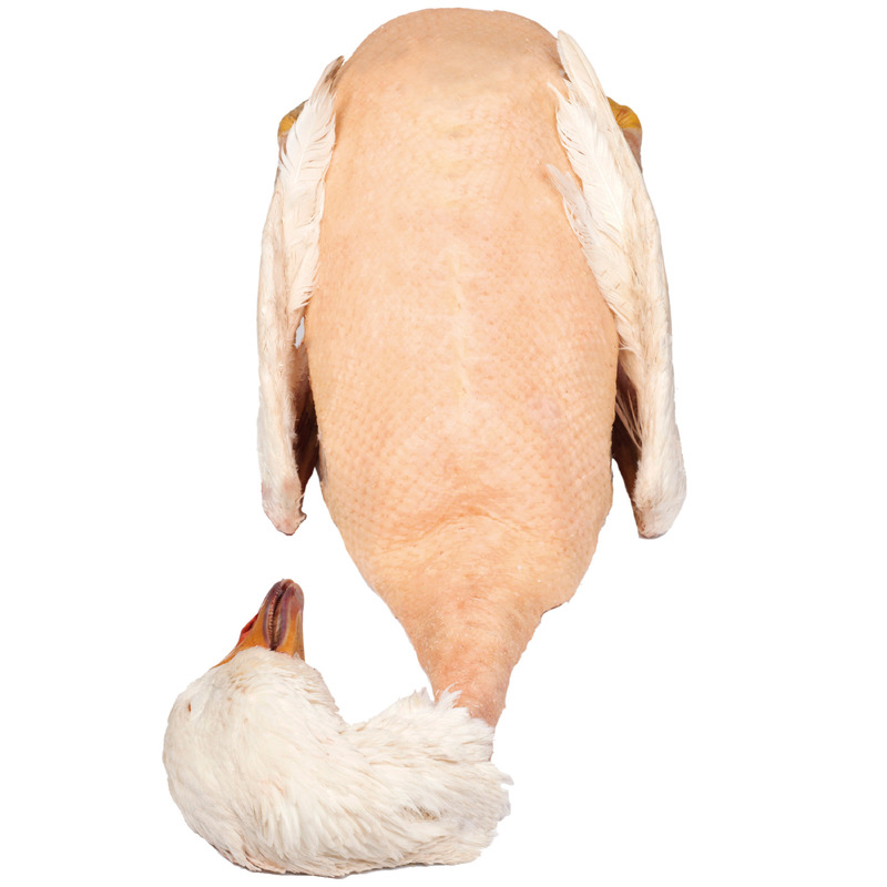 Oie française Excellence ±6kg
