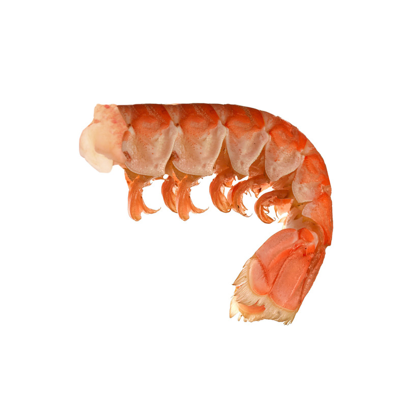 Langoustine tail ±1kg ⚖