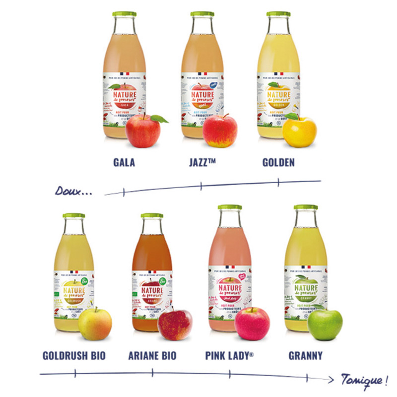 Gala pressed apple juice origin France 1L