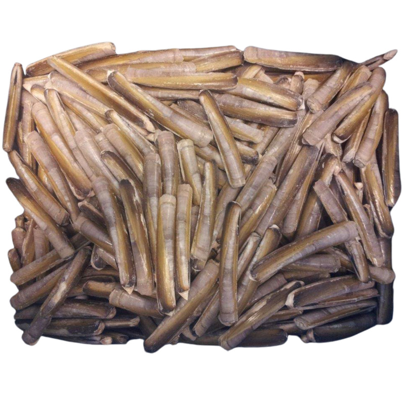 ❆ Couteaux 10-14cm MSC IQF 10kg