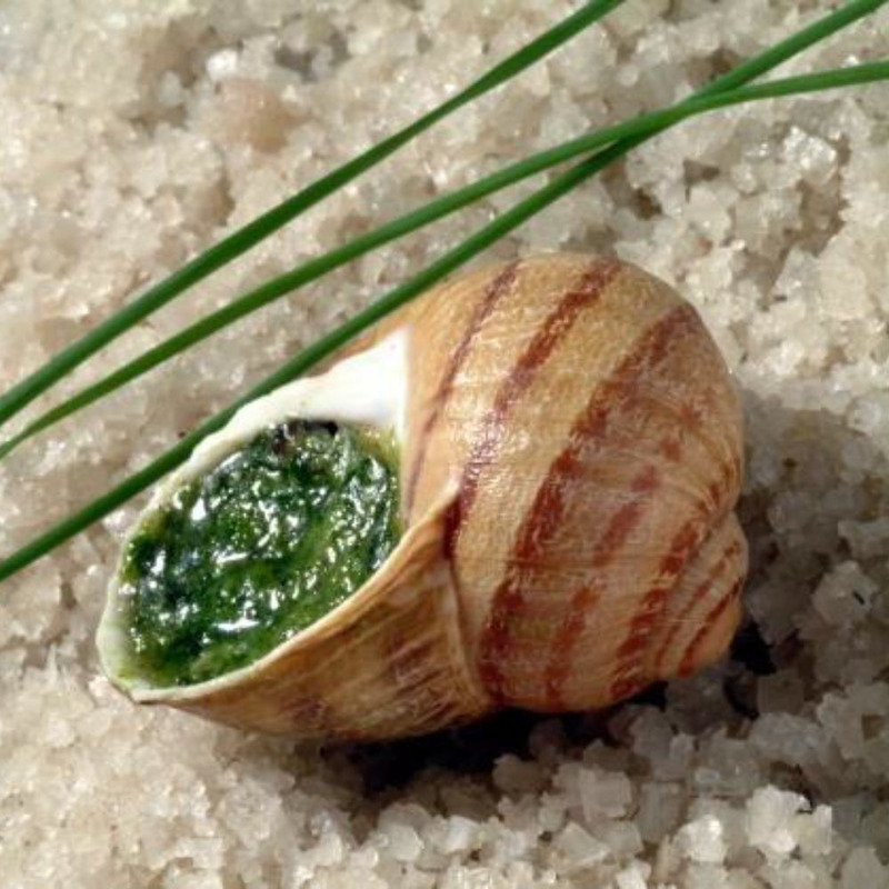 ❆ Very large French grey stuffed snails with AOC Charentes-Poitou butter 4x12