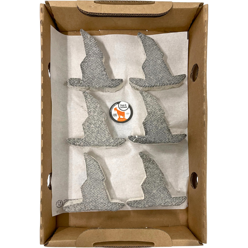 Farmhouse raw goat's cheese moulded into an ashen witch's hat 6x±80g